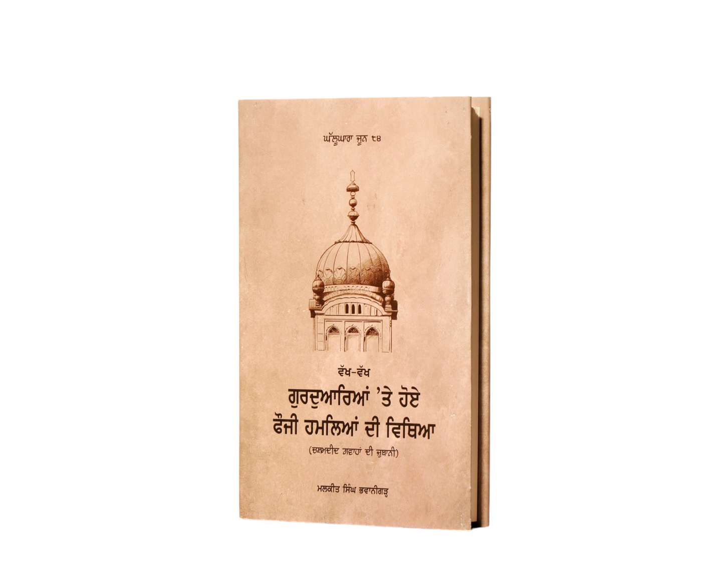 ਗੁਰਦੁਆਰਿਆਂ 'ਤੇ ਹੋਏ ਫ਼ੌਜੀ ਹਮਲਿਆਂ ਦੀ ਵਿਥਿਆ | Witnessing the Army Invasion of Sikh Gurudwaras