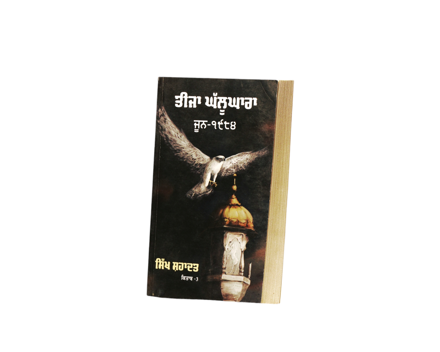 ਤੀਜਾ ਘੱਲੂਘਾਰਾ | Teeja Ghallughara