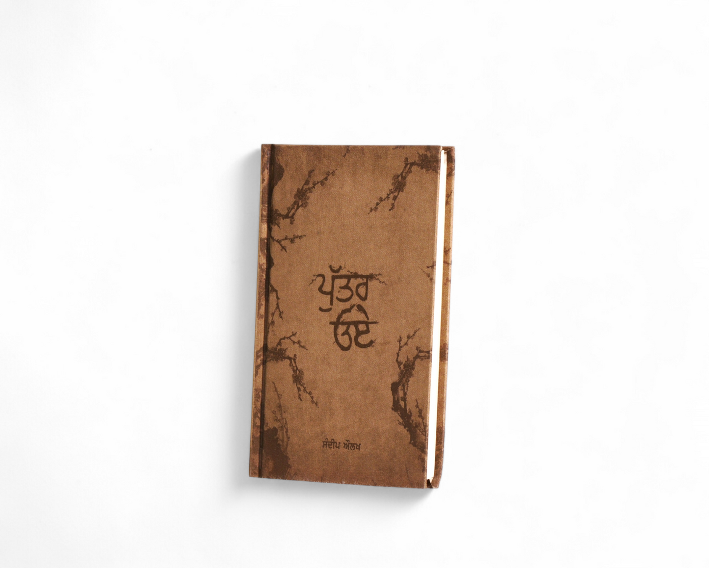 ਪੁੱਤਰ ਓਏ | Putter Oye