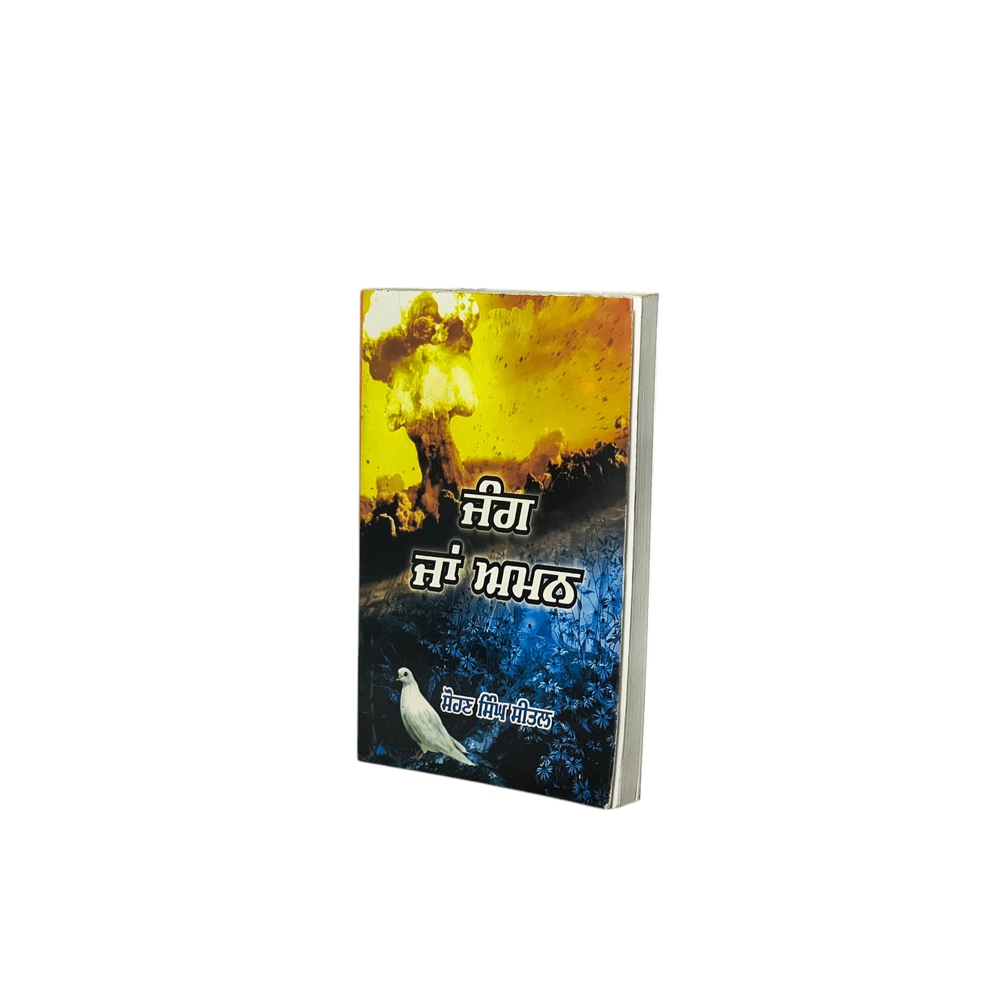 ਜੰਗ ਤੇ ਅਮਨ | Jung Te Amen
