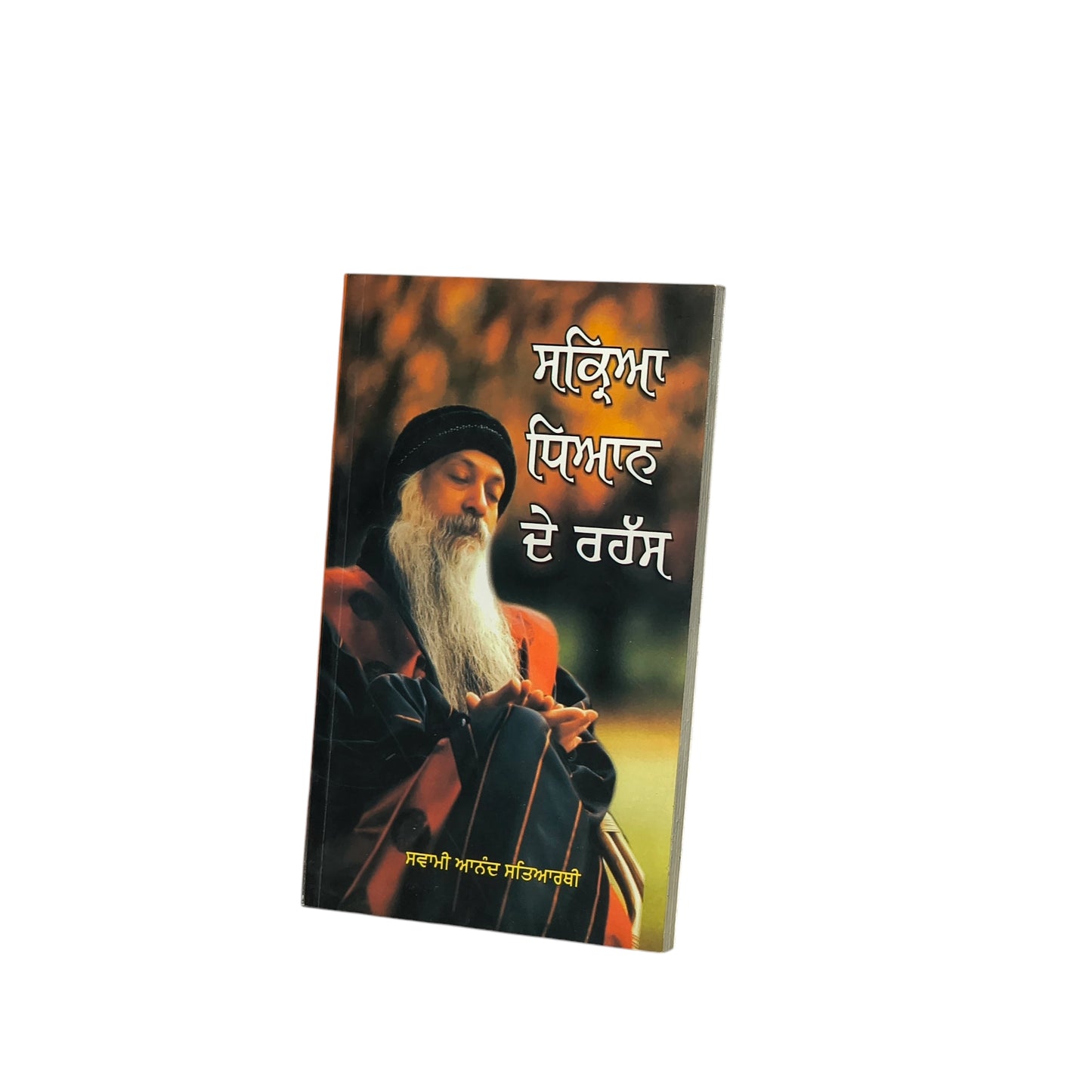 ਸਕ੍ਰਿਆ ਧਿਆਨ ਦੇ ਰਹੱਸ | Sakriya Dhian De Rahasya