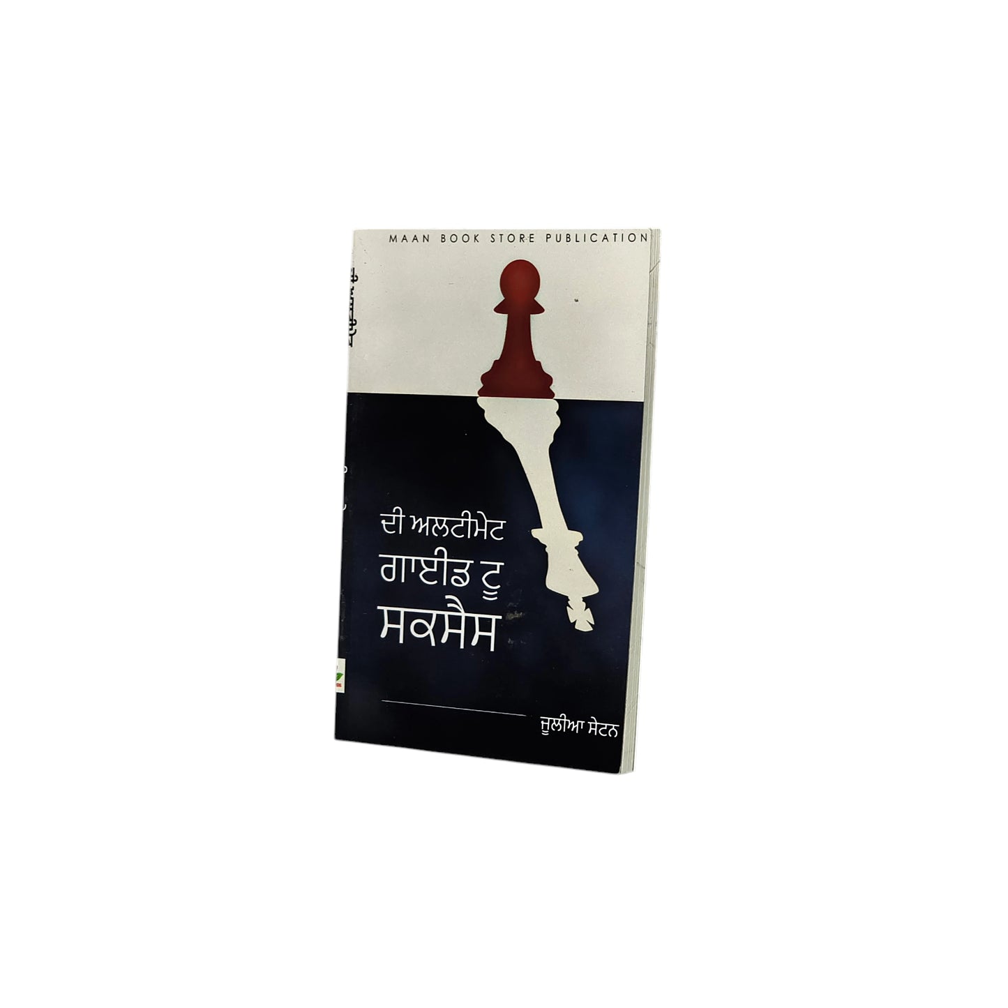 ਦ ਅਲਟੀਮੇਟ ਗਾਈਡ ਟੂ ਸਕਸੈਸ | The Ultimate Guide to Success