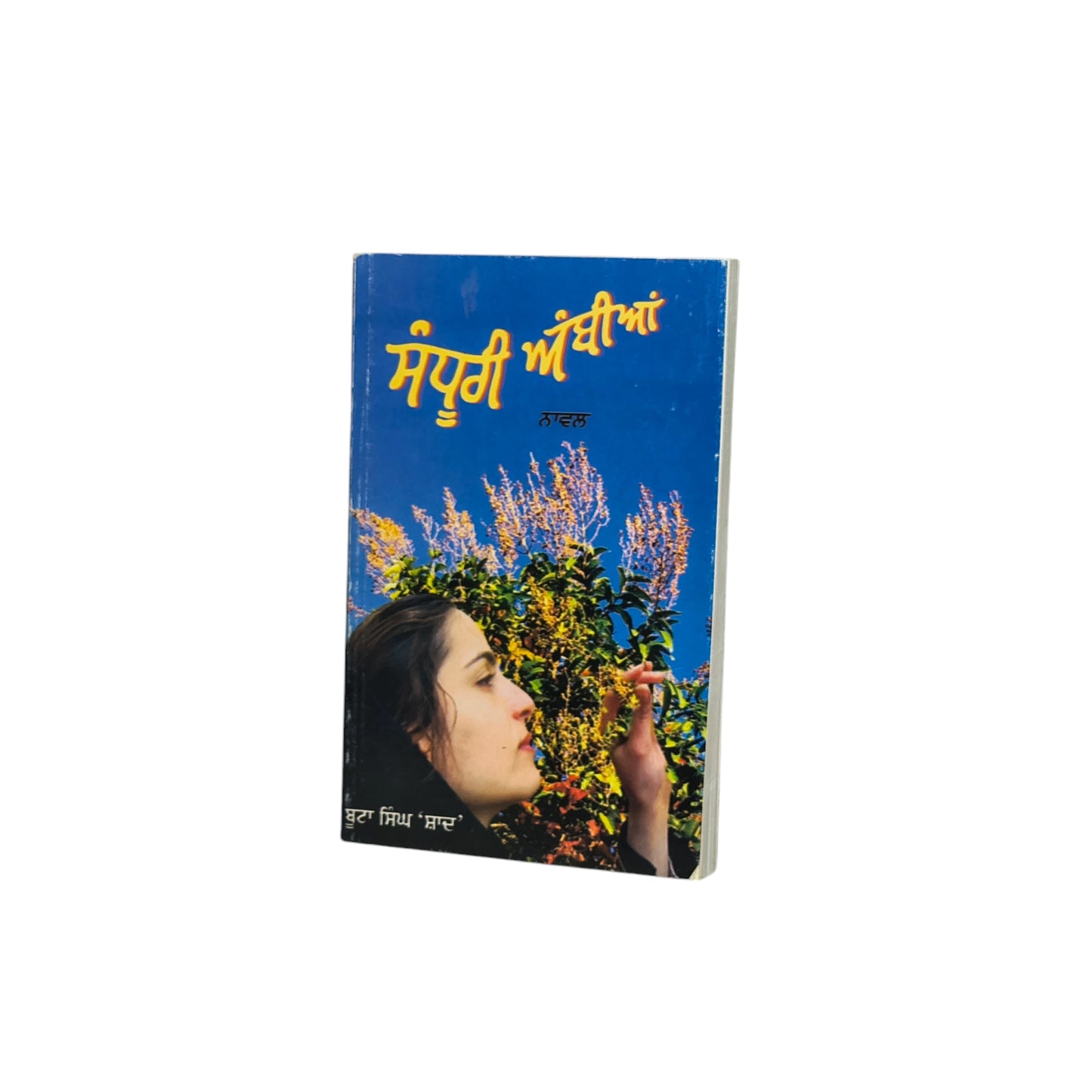 ਸੰਧੂਰੀ ਅੰਬੀਆਂ | Sandhuri Ambian