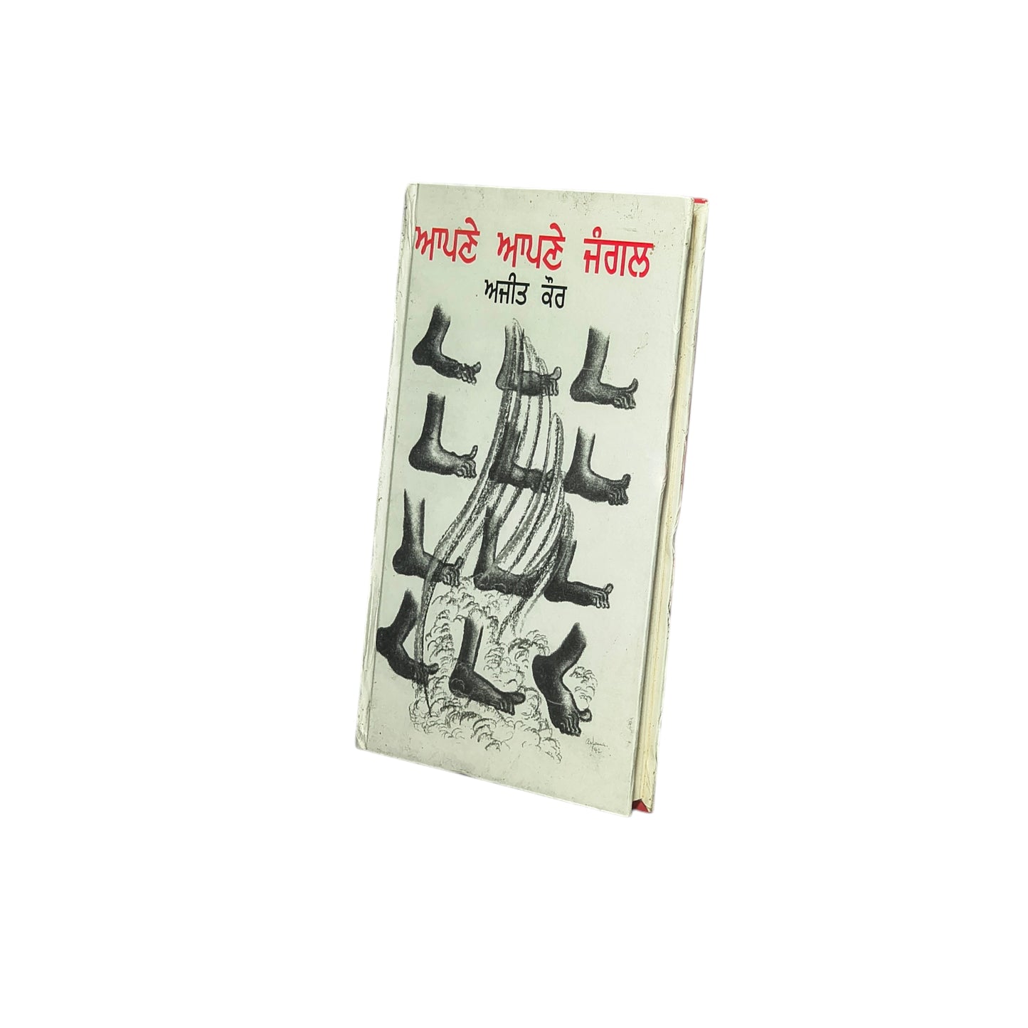 ਆਪਣੇ ਆਪਣੇ ਜੰਗਲ | Apne Apne Jungal