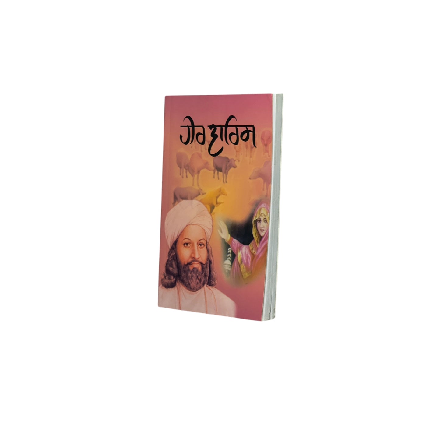 ਹੀਰ ਵਾਰਿਸ ਸ਼ਾਹ | Heer Warish Shah
