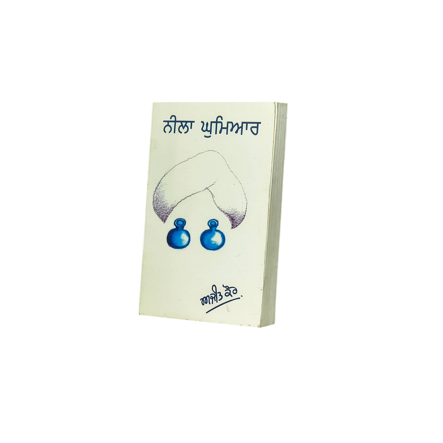 ਨੀਲਾ ਘੁਮਿਆਰ | Neela Ghumiyar