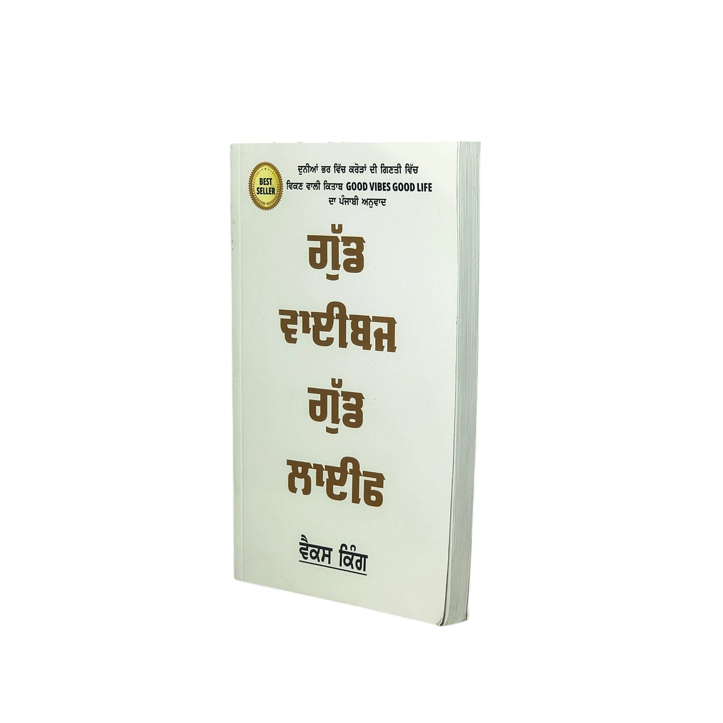ਗੁੱਡ ਵਾਈਬਜ਼ ਗੁੱਡ ਲਾਈਫ਼ | Good Vibes Good Life