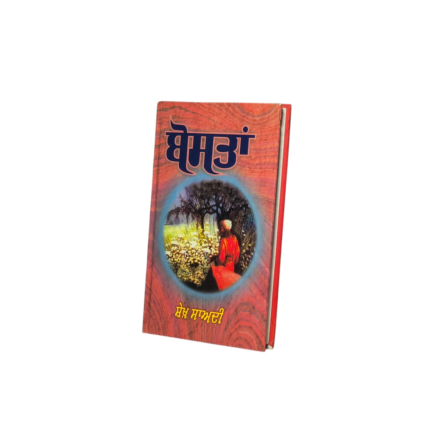 ਬੋਸਤਾਂ | Bostan