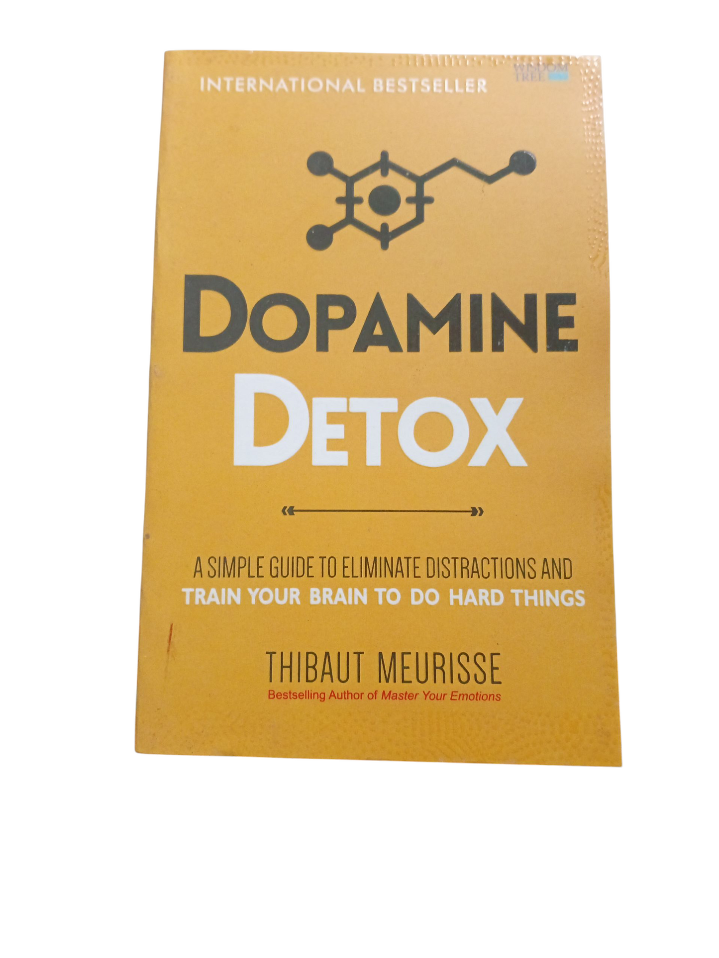 Dopamin Detox