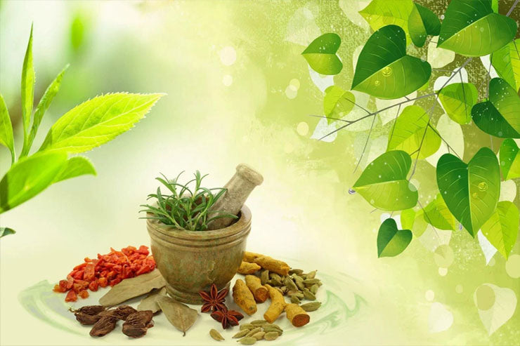 Ayurvedic Books