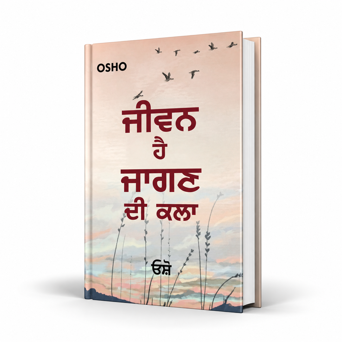 ਜੀਵਨ ਹੈ ਜਾਗਣ ਦੀ ਕਲਾ  Jiwan Hae Jagan Di Kla by osho