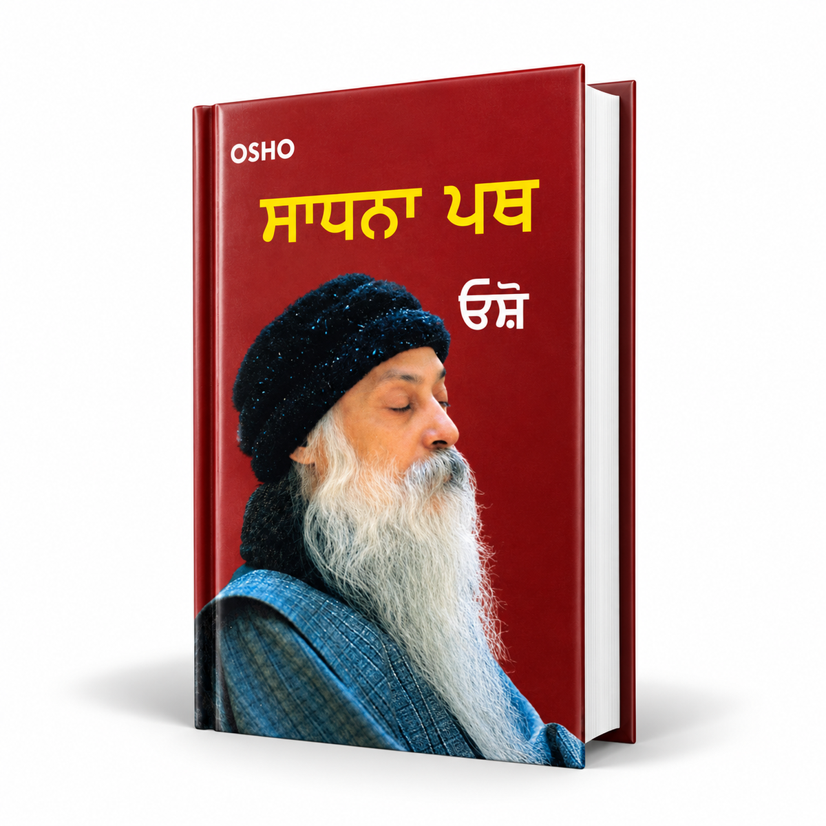 ਸਾਧਨਾ ਪਥ | Sadhna Path