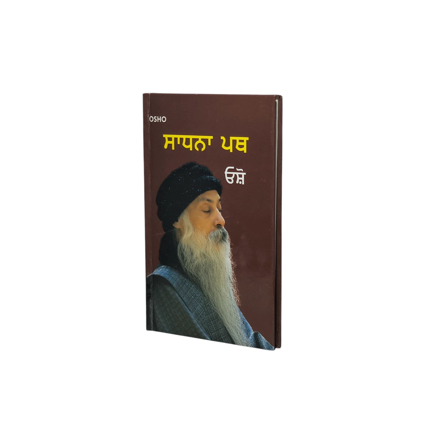 ਸਾਧਨਾ ਪਥ | Sadhna Path