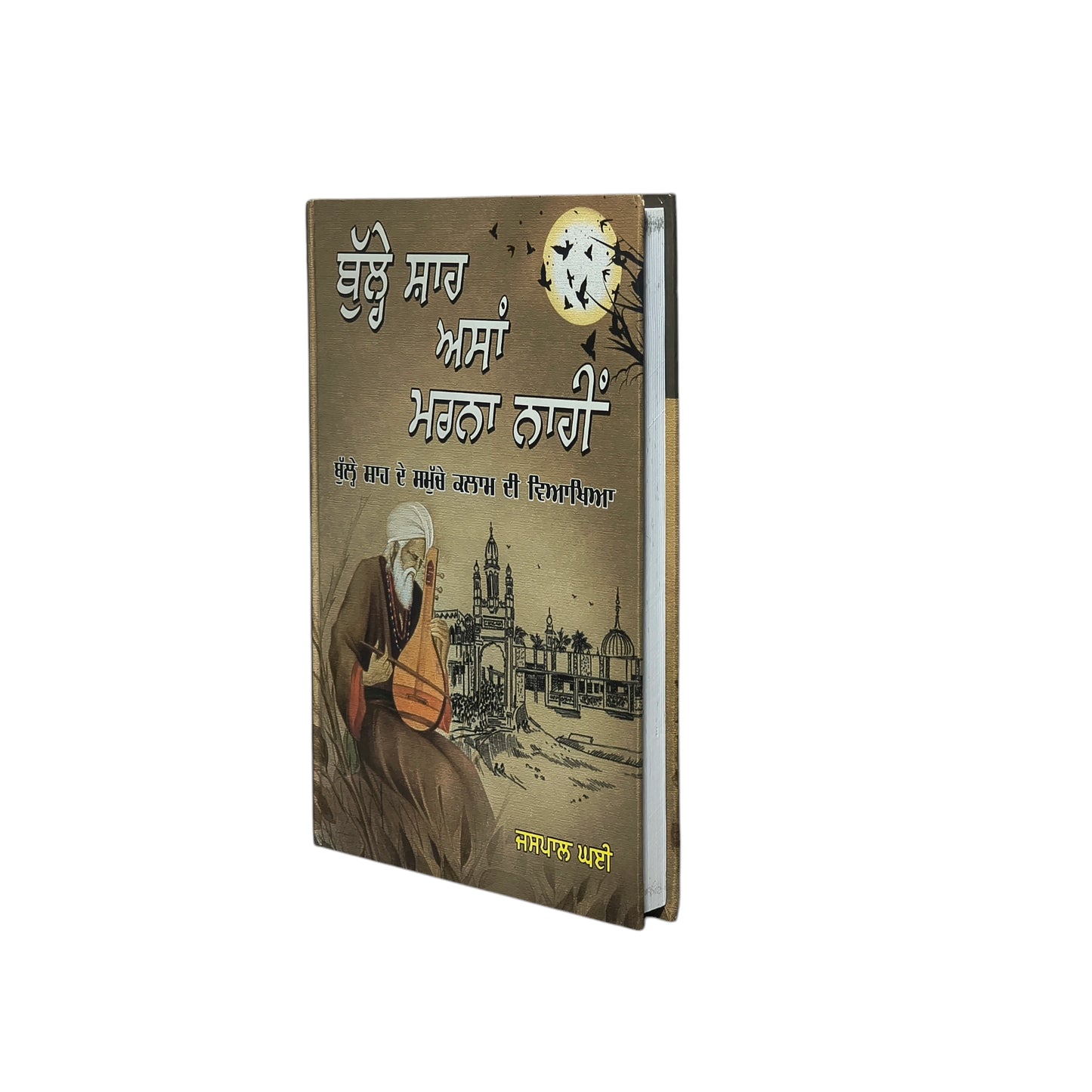 ਬੁੱਲ੍ਹੇ ਸ਼ਾਹ ਅਸਾਂ ਮਰਨਾ ਨਾਹੀਂ | Bulle Shah Asan Marna Naahi