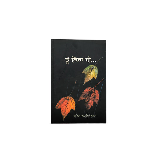 ਤੂੰ ਕਿਹਾ ਸੀ... | Tuu Kiha Se