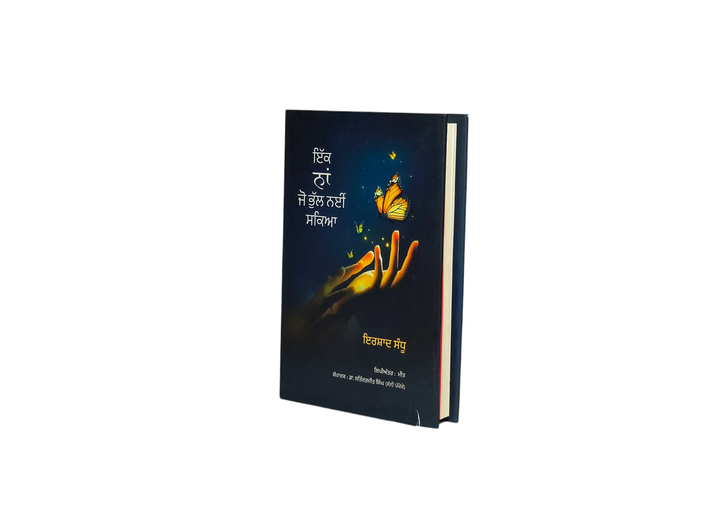 ਇੱਕ ਨਾਂ ਜੋ ਭੁੱਲ ਨਈਂ ਸਕਿਆ | Ikk Naa Jo Bhul Nhi Sakiya