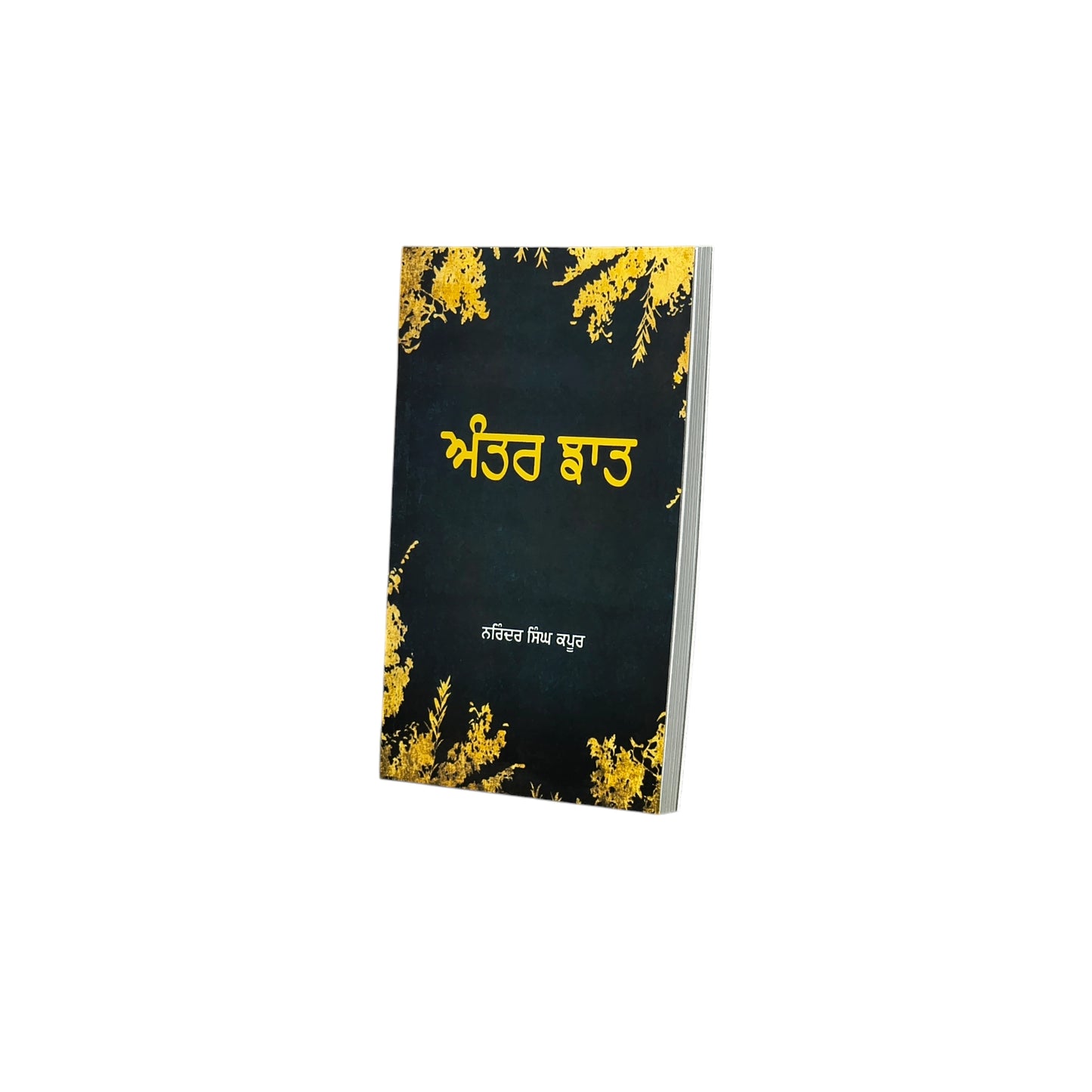 ਅੰਤਰ ਝਾਤ | Antar Jhaat
