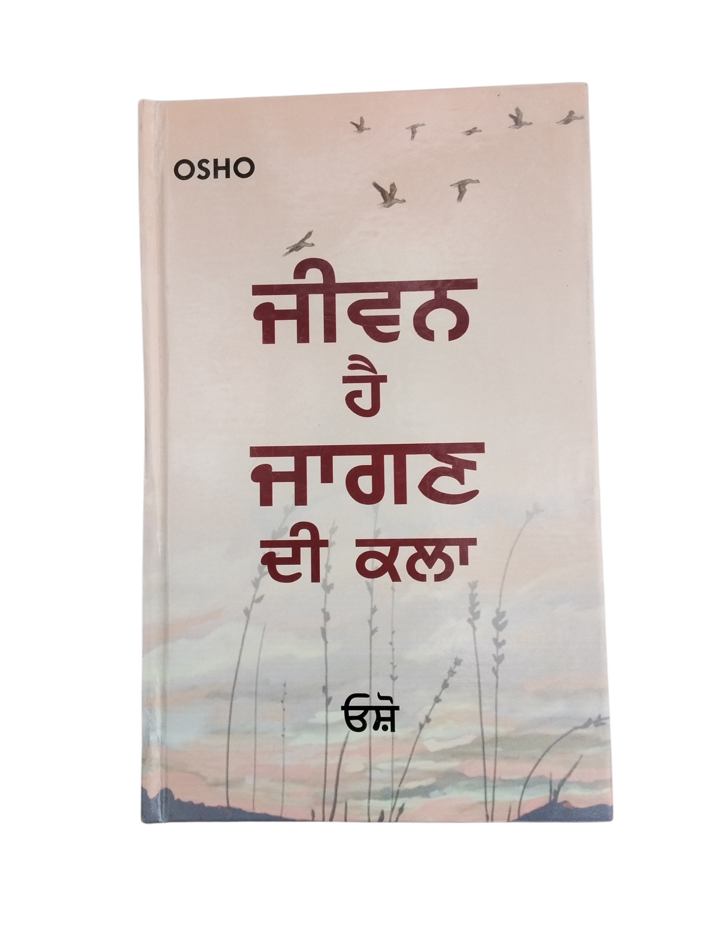 ਜੀਵਨ ਹੈ ਜਾਗਣ ਦੀ ਕਲਾ Jiwan Hae Jagan Di Kla