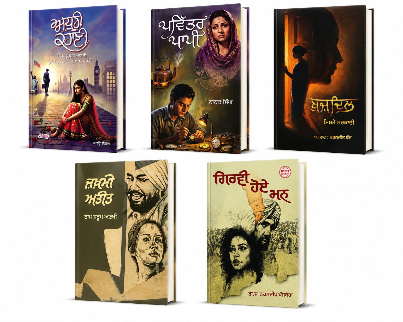 Punjabi Sad Novel Books Set