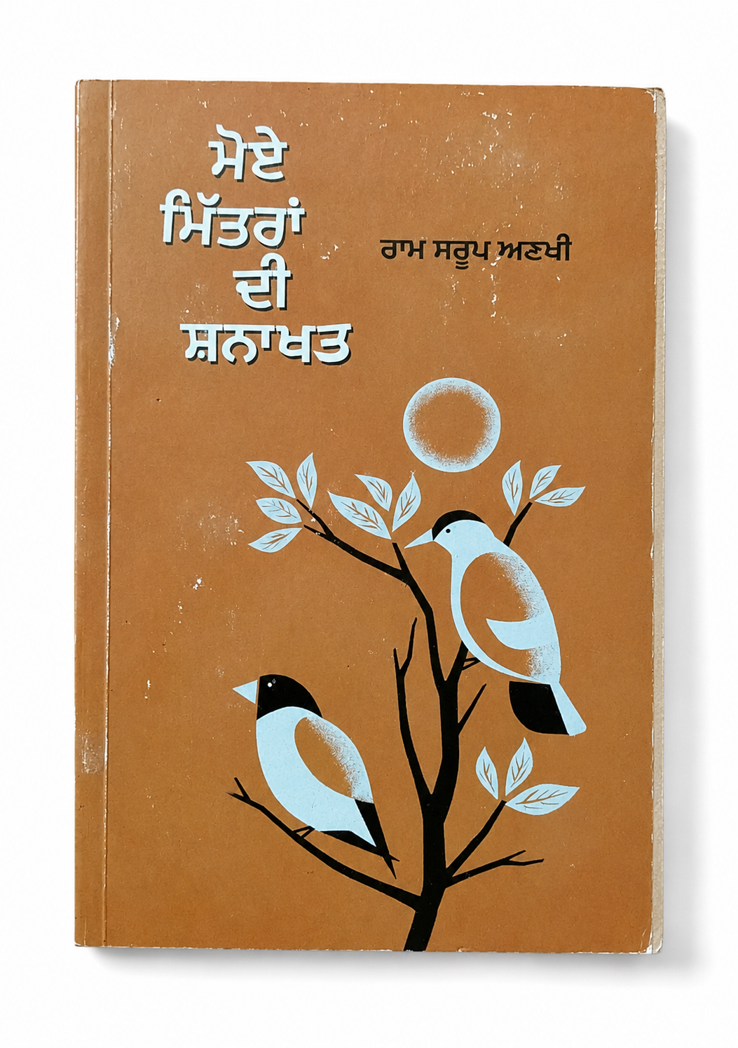 Ram Sarup Ankhi Book Set