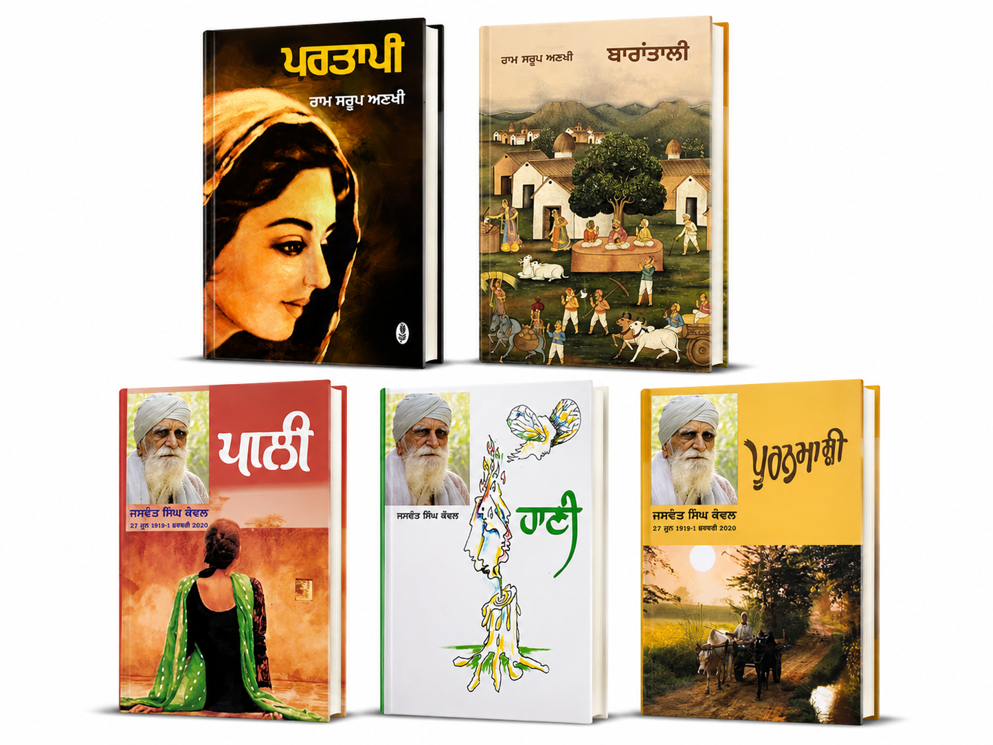 Best Punjabi Novel Set