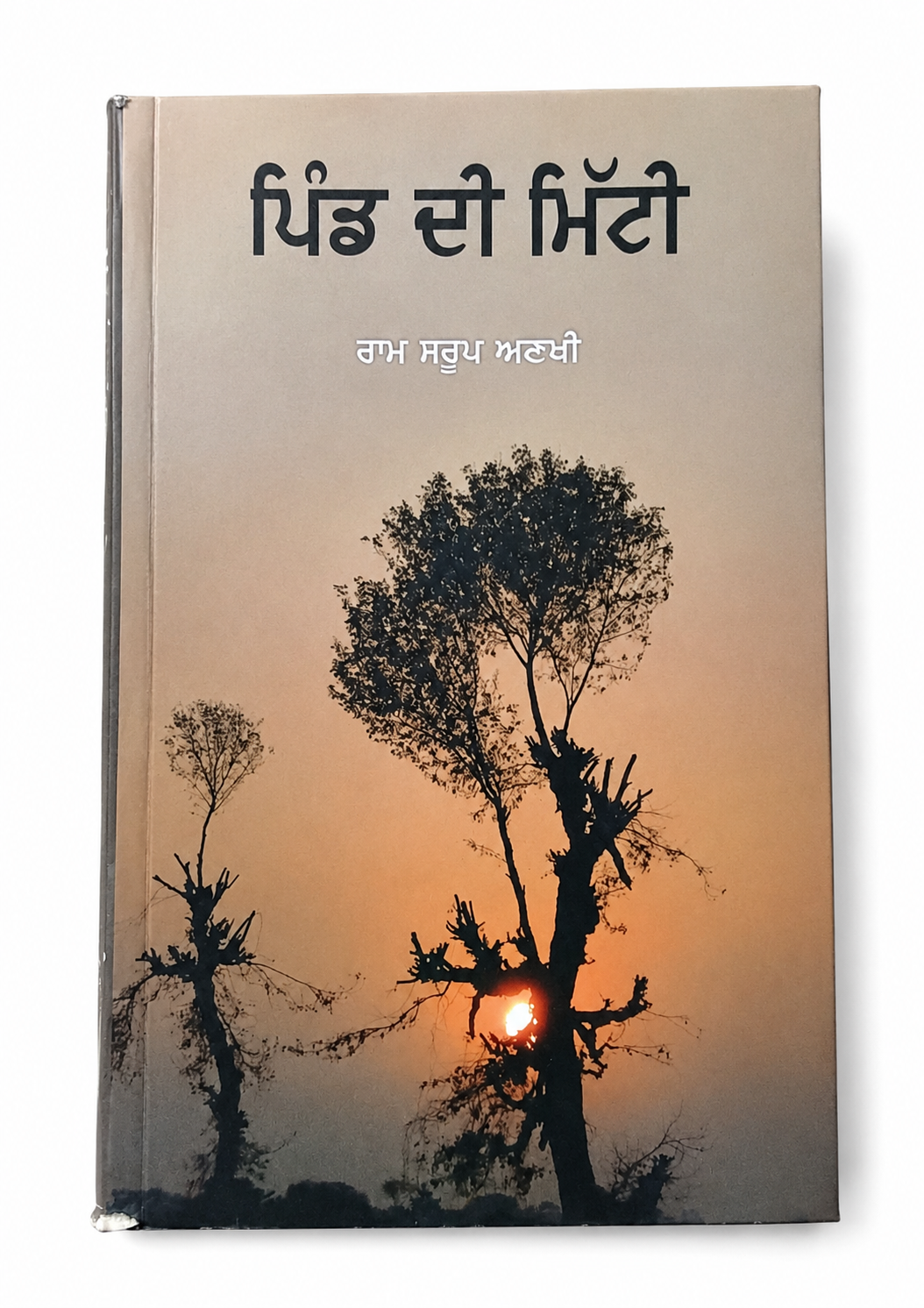 Ram Sarup Ankhi Book Set
